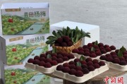 六爻在线高速赋能产业升级：一条“杨梅路”的致富密码